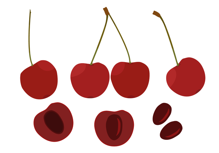 Vectoriales de cerezas gratis vector