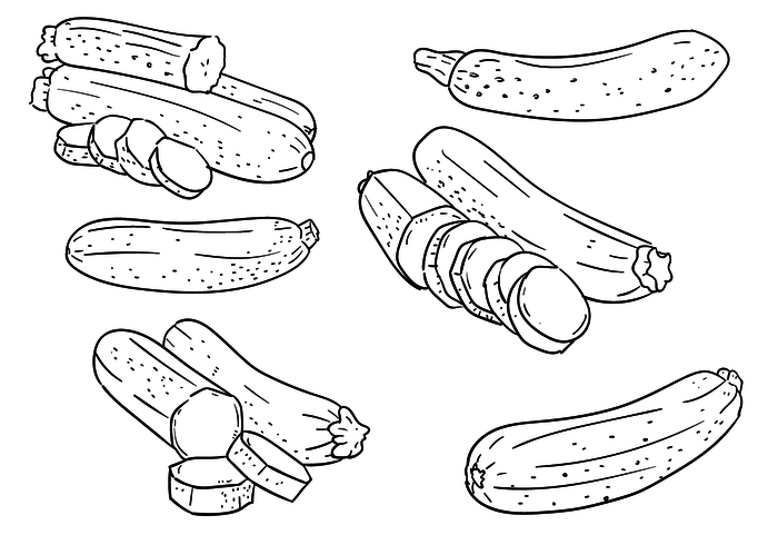 Zucchini Outlines Vector Set