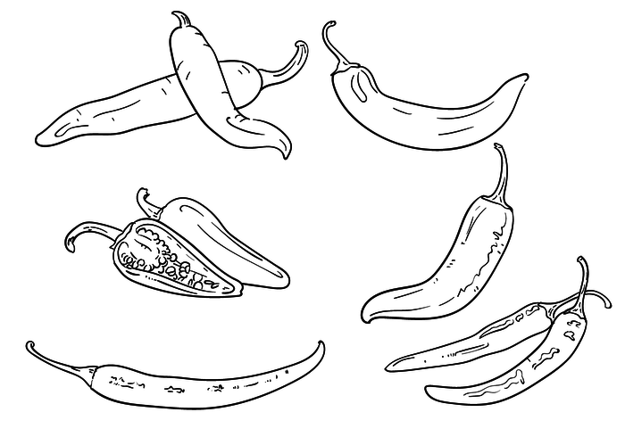 Green Hot Pepper Outlines Green Hot Pepper Outlines