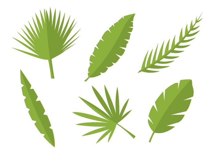 Leaf Vectors