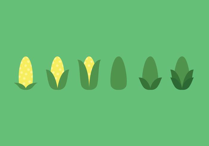 Ear of Corn Vector Sequence Ear of Corn Vector Sequence