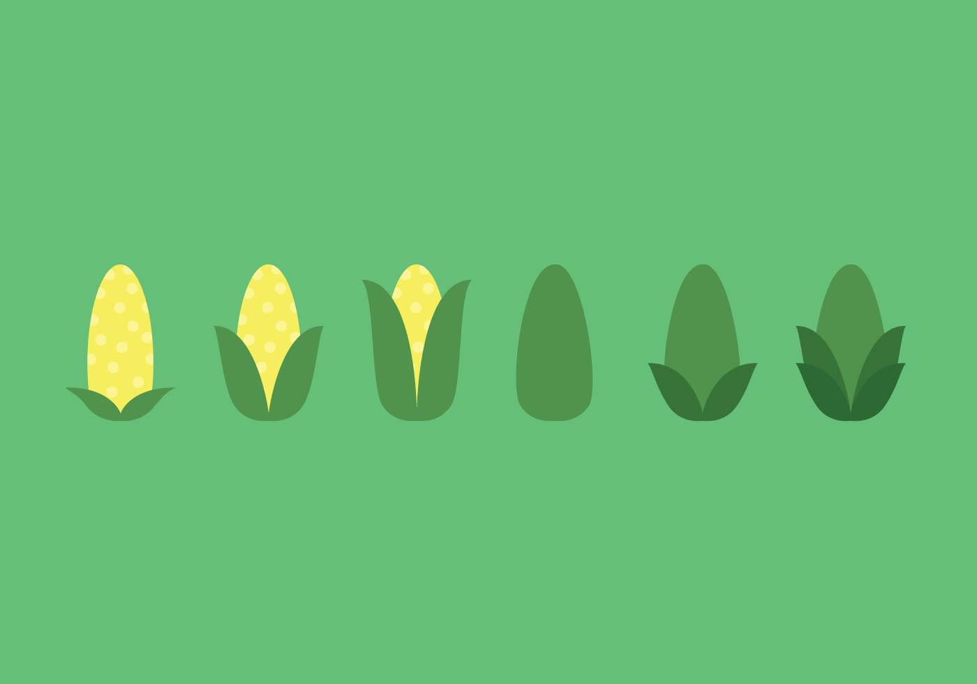 ear-of-corn-vector-sequence-download-free-vector-art-stock-graphics