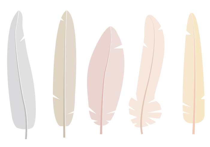 Plumas libres Vector