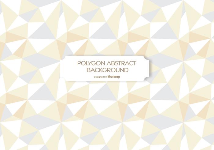 Polygon Abstract Background vector