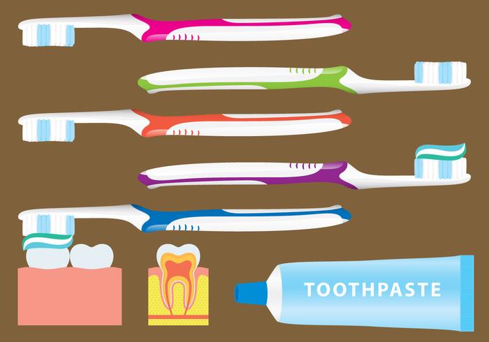 Toothbrushing Vectors