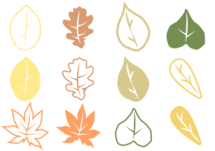 Autumn Leaves Vector