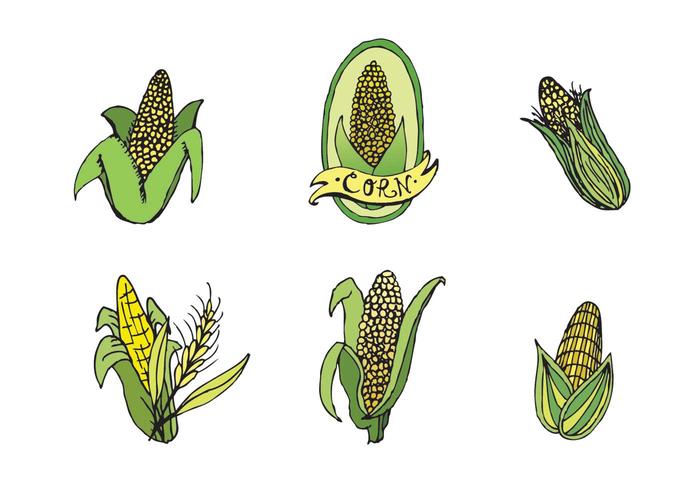 Free Ear of Corn Vector Series