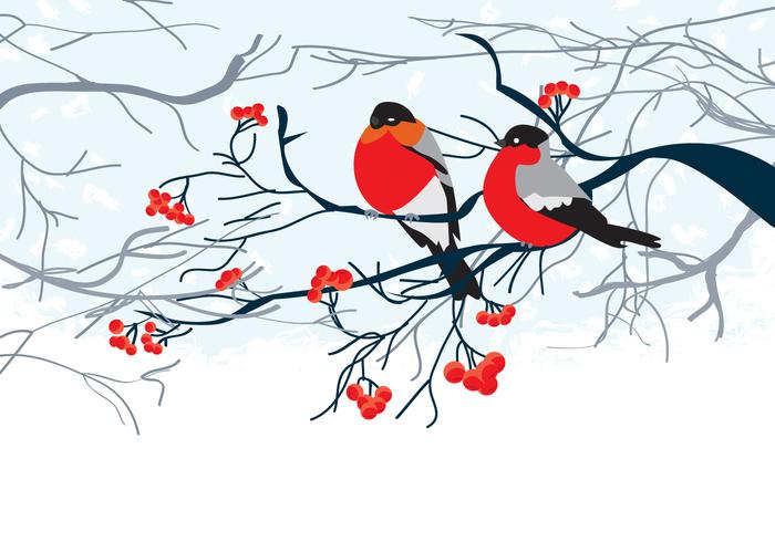 Card with Birds on Branch vector