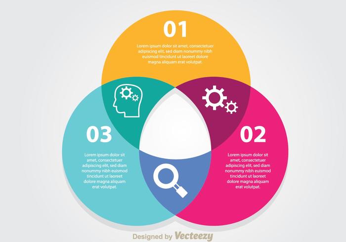 Diagrama Infográfico de Venn vector