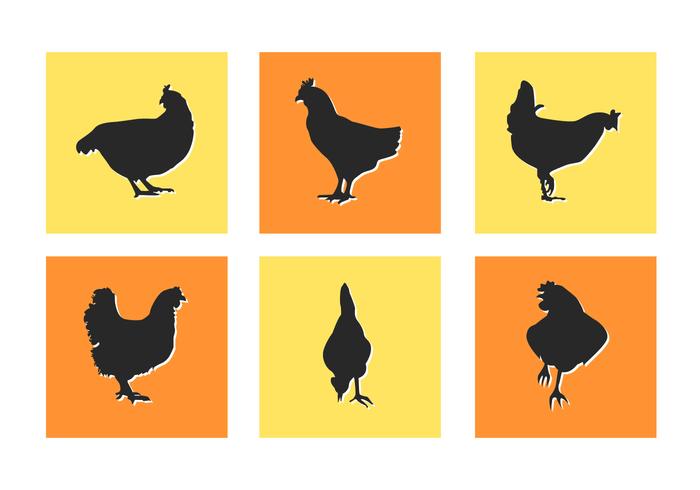 Chicken Slihouettes Vector Illustrations Chicken Slihouettes Vector Illustrations