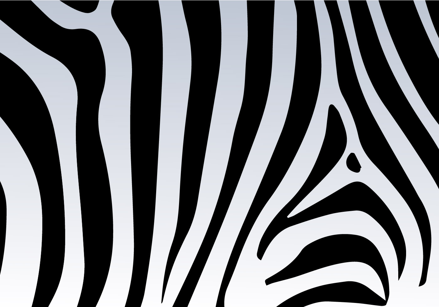 Zebra Print Vector Background Download Free Vectors, Clipart Graphics