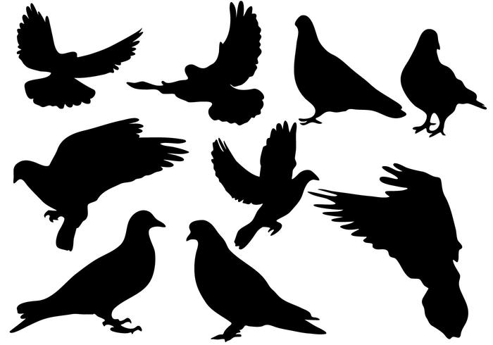 Free Pigeon Silhouette Vector