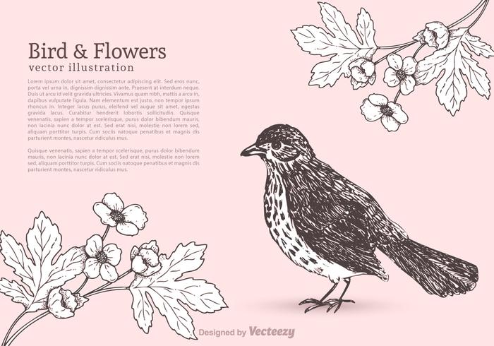 Free Bird And Flowers Vector