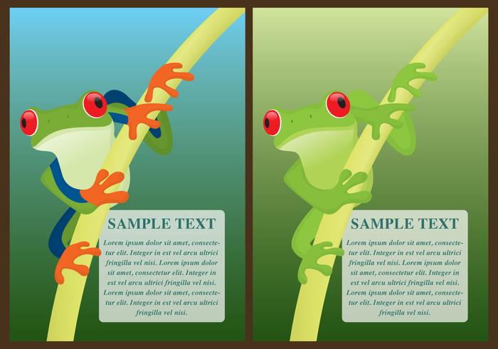 Green Frogs Flyers vector