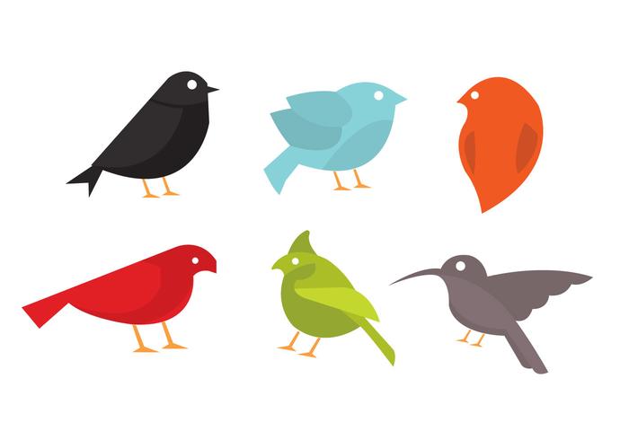 Vector Collection of Birds