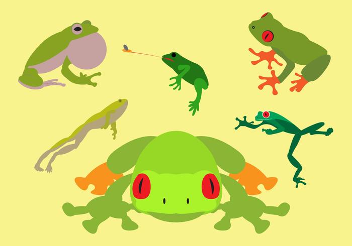 Colección de ranas arbóreas verdes en vector