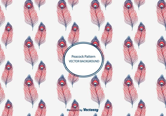 Peacock Pattern Vector Peacock Pattern Vector