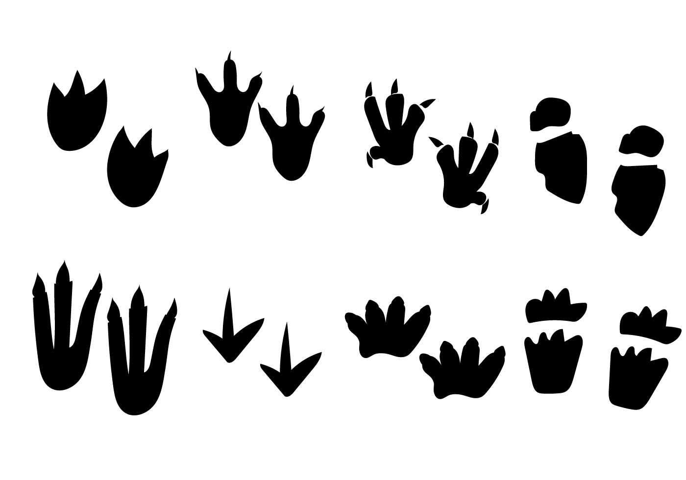 Download Dinosaur Black and White Footprint Vector for free.