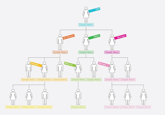 Colorful Organization Chart vector