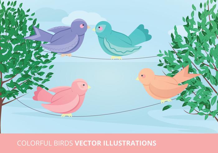 Ilustración vectorial aves vector