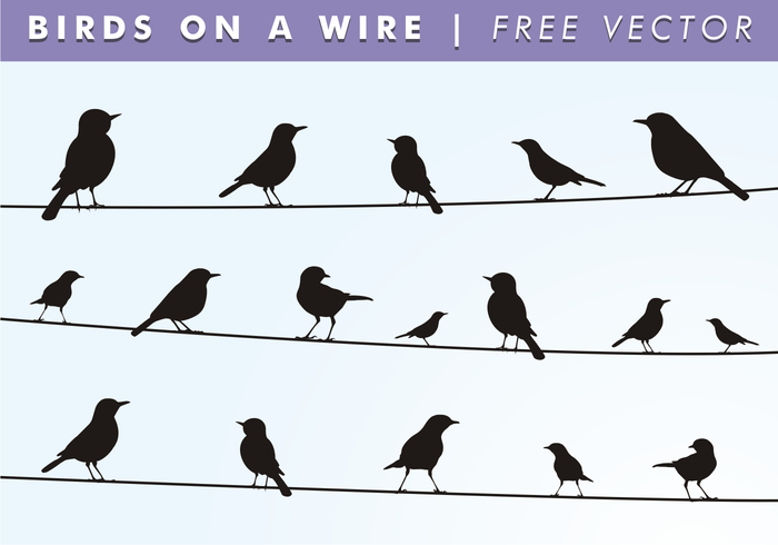 Birds On A Wire Free Vector