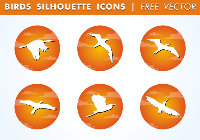 Bird silueta iconos vector libre