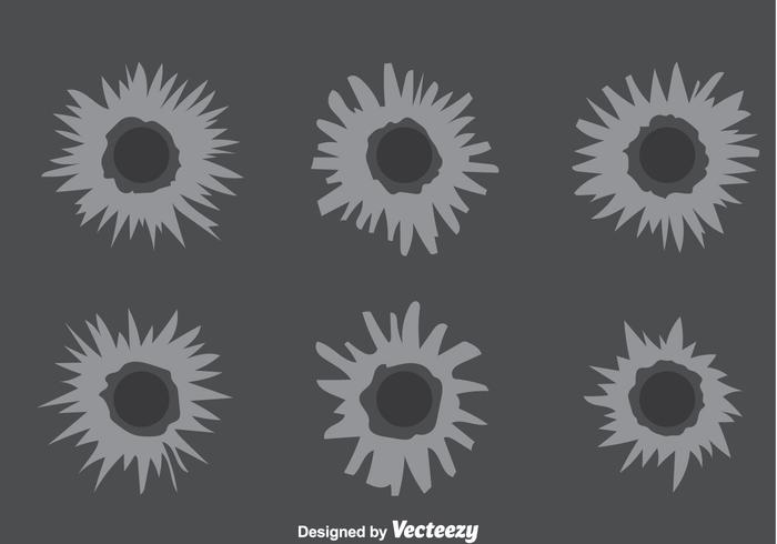 Bullet Crack Impact Vectors