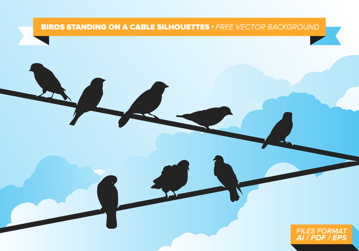 Binds Standing On A Cable Binds Standing On A Cable
