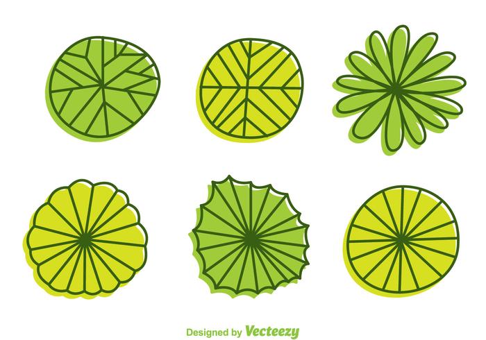 Plant Top View Cartoon Style Vectors