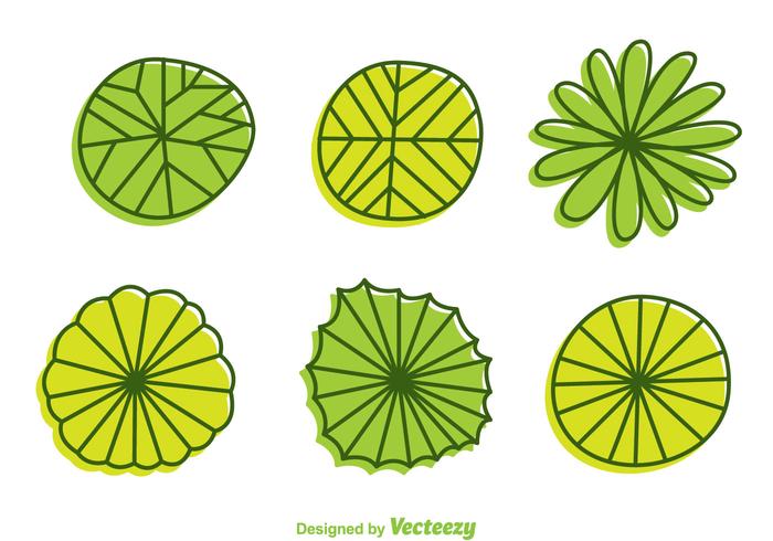 Plant Top View Cartoon Style Vectors