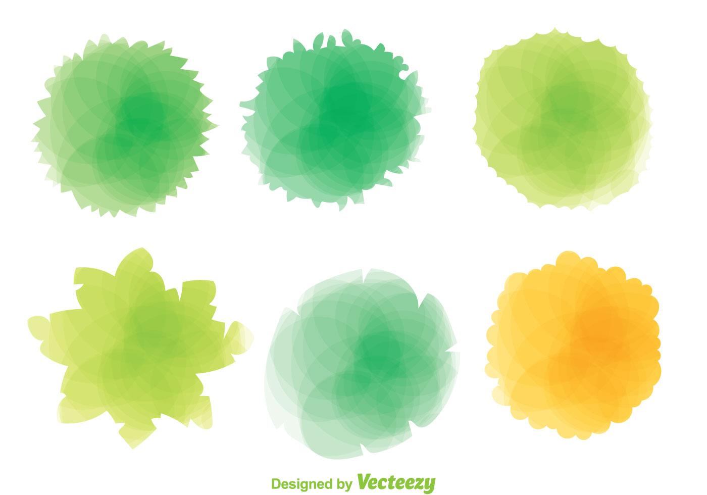 Colorful Plant Top View Download Free Vectors Clipart