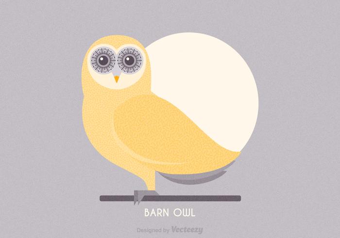 Barn Owl Vector Illustration