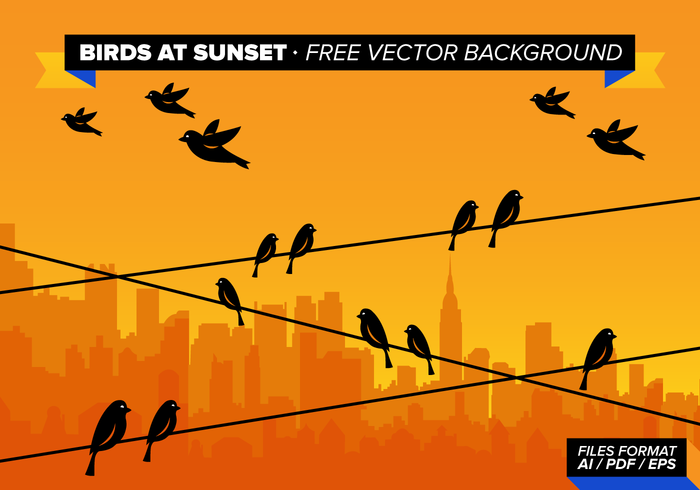 Birds At Sunset Free Vector Background