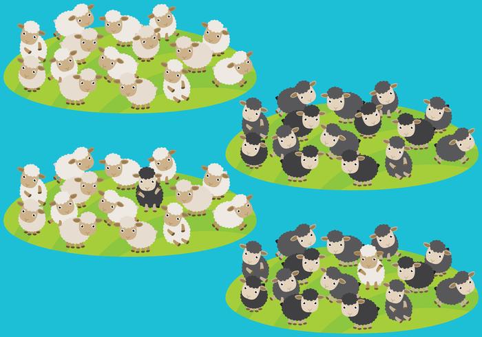 Sheep Herd Vectors