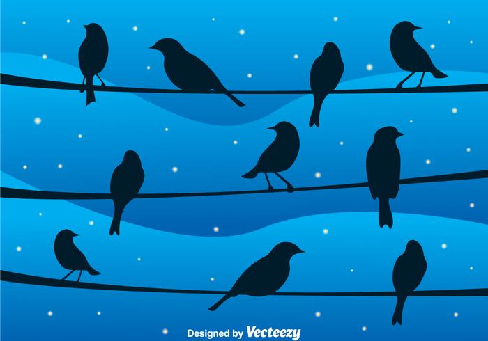 Bird On A Wire At Night Vector