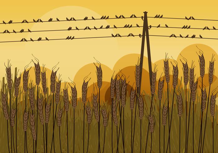 Birds on Wires in Autumn vector