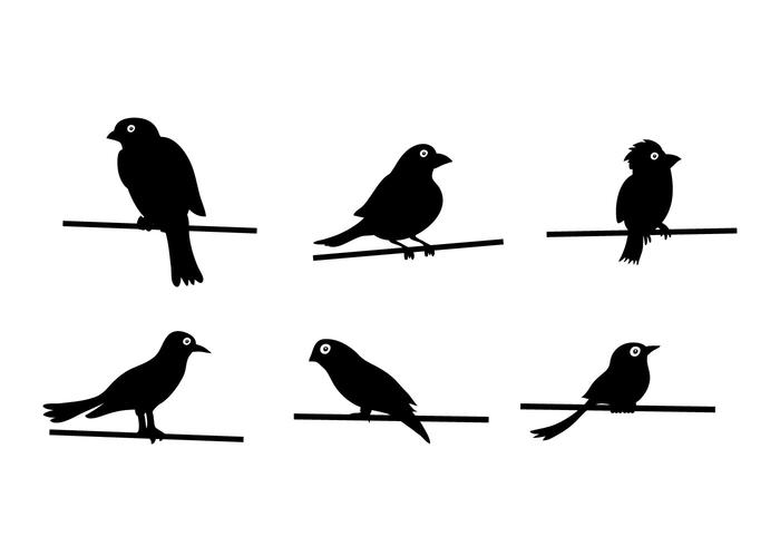 Bird On Wire Vector