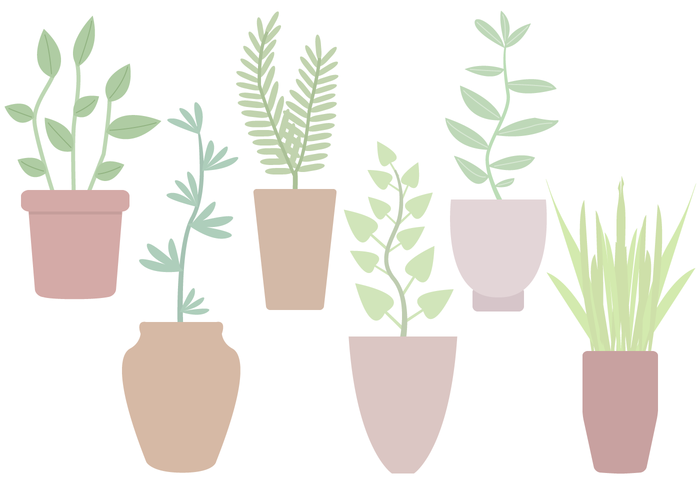 Free Potted Plant Vector Free Potted Plant Vector
