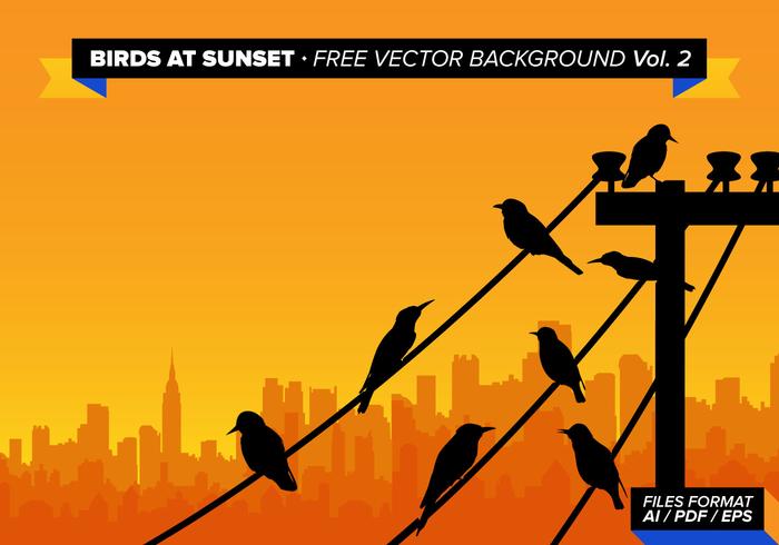 Birds At Sunset Free Vector Background Vol 2 Birds At Sunset Free Vector Background Vol 2
