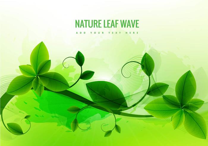 Nature leaf green background vector