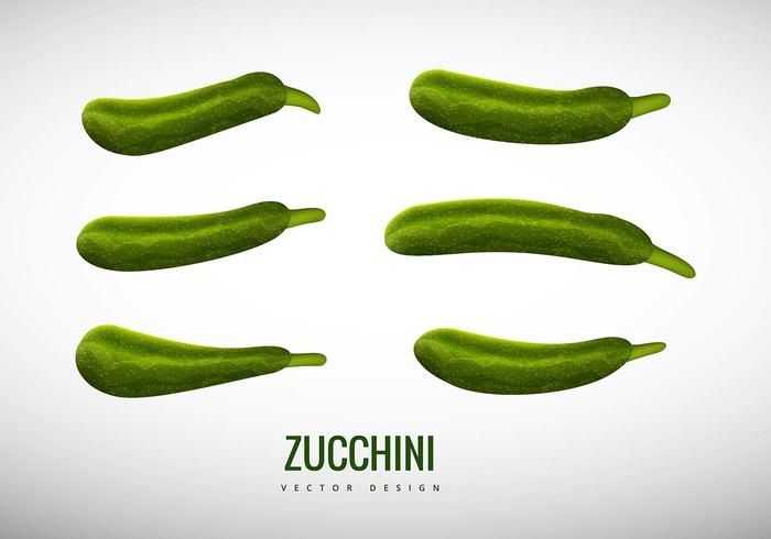 Zucchini vector Zucchini vector