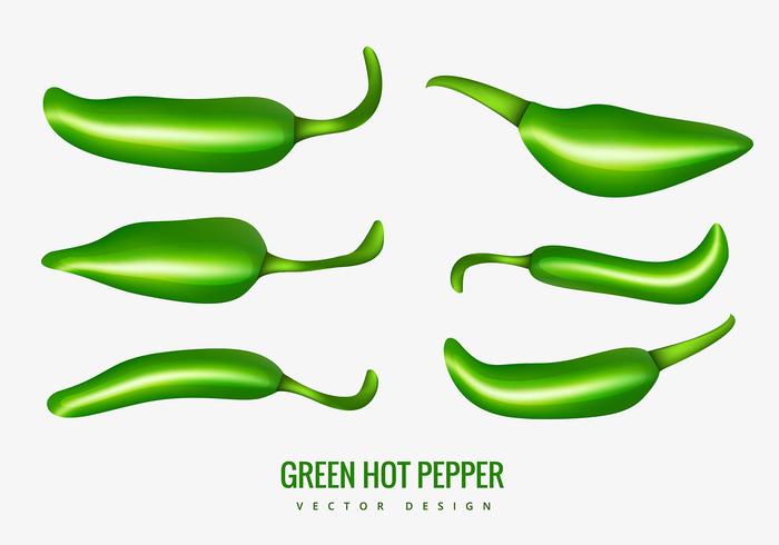 Green hot pepper vector