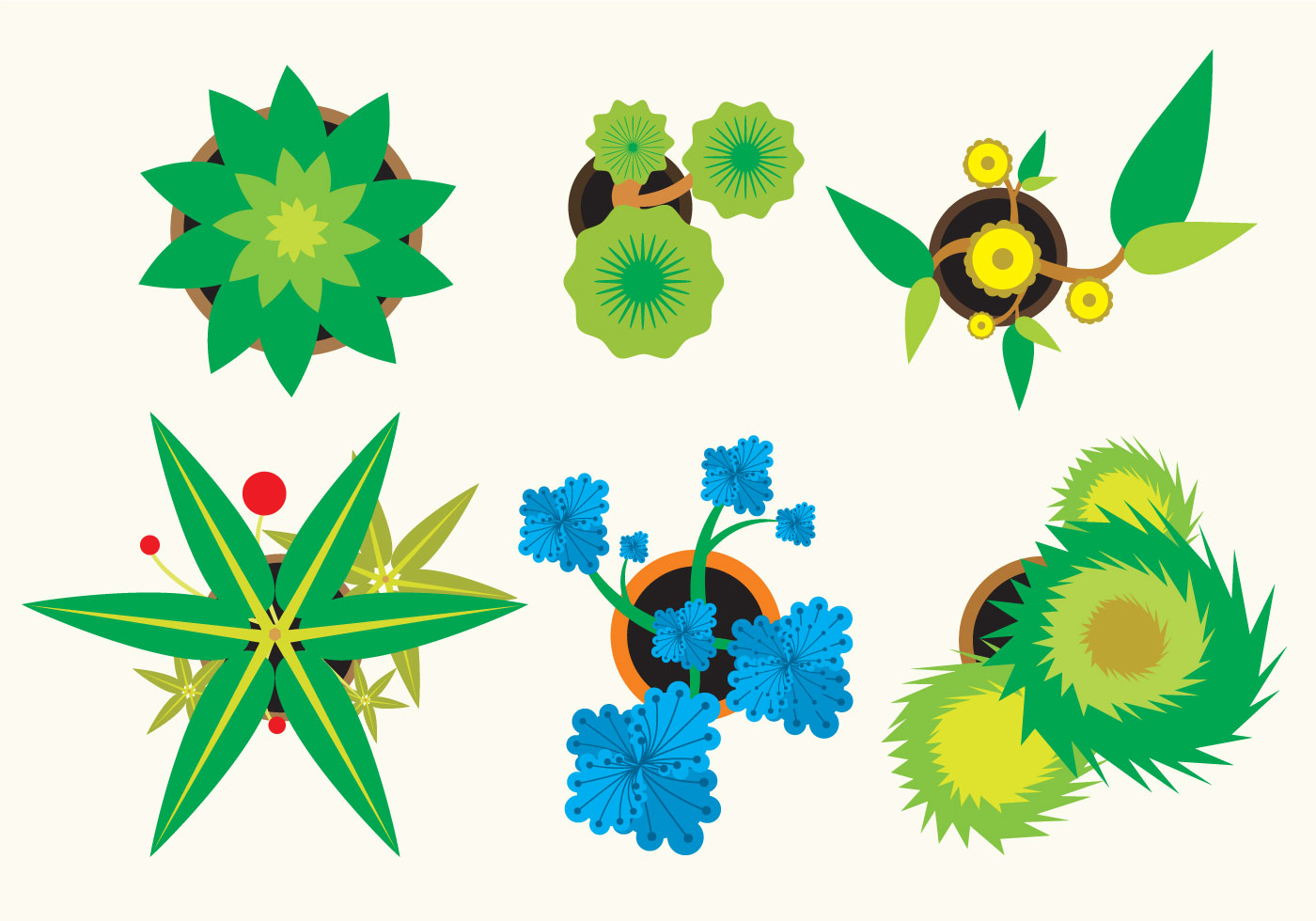 various-plants-top-view-98053-vector-art-at-vecteezy