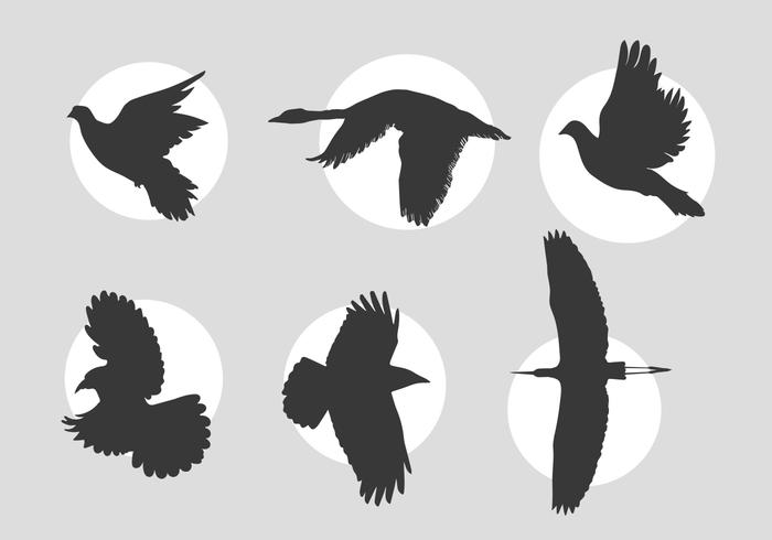 Birds in flight vectors Birds in flight vectors