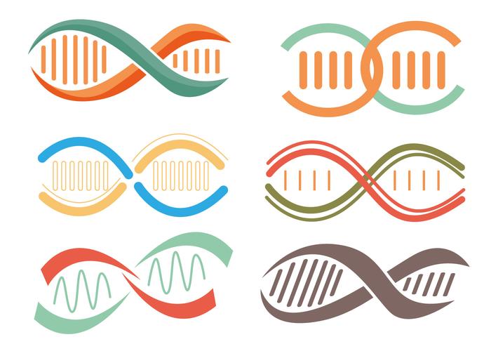 Double helix vectors