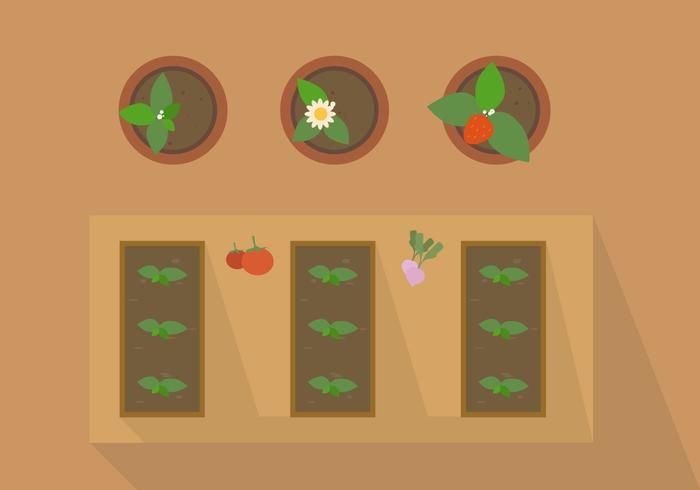 FREE PLANT FROM TOP VECTOR FREE PLANT FROM TOP VECTOR