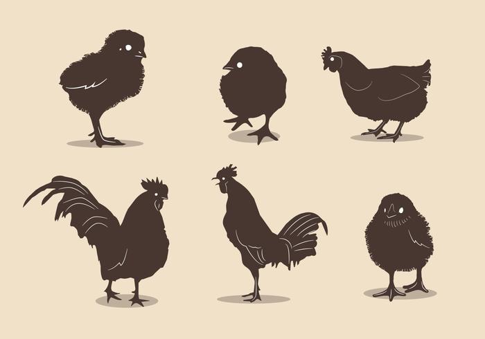 Chicken silhouette vectors Chicken silhouette vectors