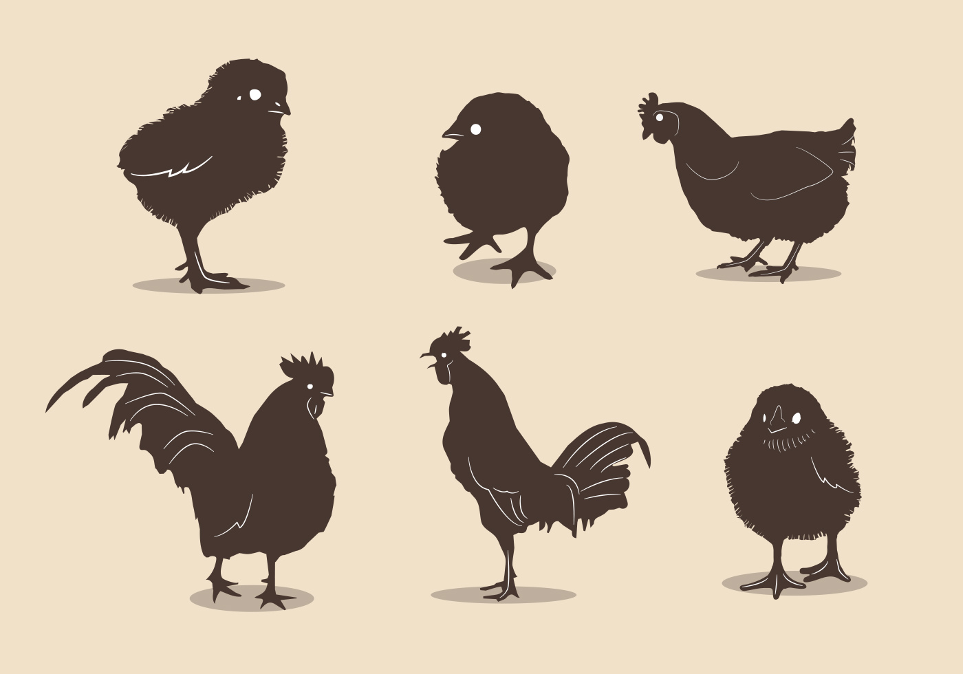 Chicken silhouette vectors Download Free Vector Art
