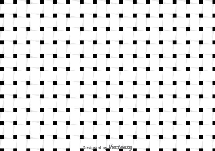 Black And White Webbing Pattern vector