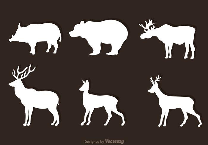 Animales Bosque Blanco Vectores